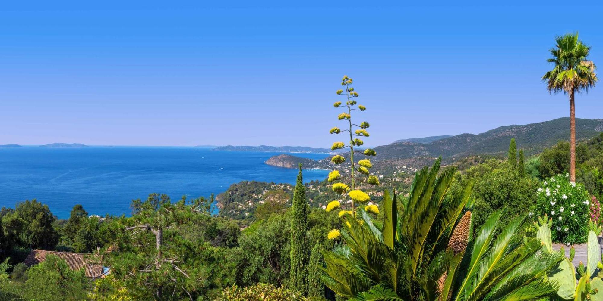 Vistazur Luxueux Appartement Avec Terrasse Et Piscine Le Le Rayol-Canadel-sur-Mer Exterior foto